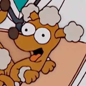 Cachorro de Ayudante de Santa sin nombrar #3