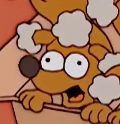 Cachorro de Ayudante de Santa sin nombrar #4