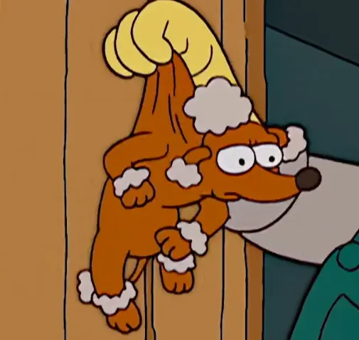 Willie Puppy